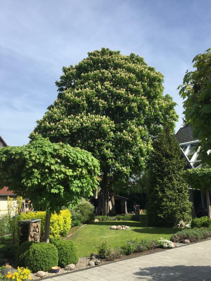 Villa "Auszeit" Hohen Neuendorf Bagian luar foto